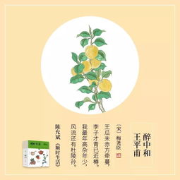 關(guān)于東西多的詩句