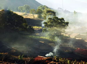 關(guān)于黃昏炊煙的詩句