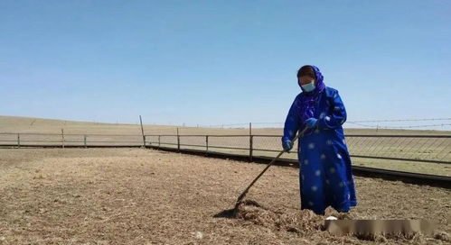 關(guān)于勞作的詩句大全