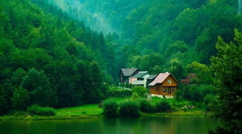 關于山林的風景詩句