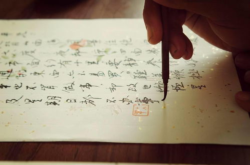 關于書信少的詩句