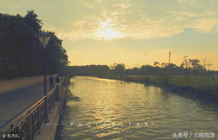 詩句,遺憾,表達,愛情