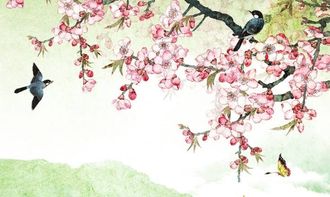 關(guān)于春天刮風(fēng)的詩句