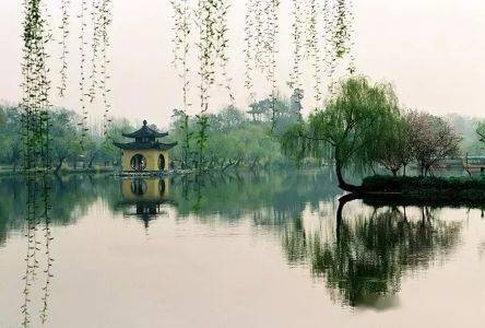 贊美酒香的古詩(shī)句一句