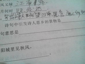 思鄉(xiāng)景的詩句古詩詞