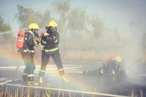 關(guān)于不畏嚴寒不懼艱難的詩句