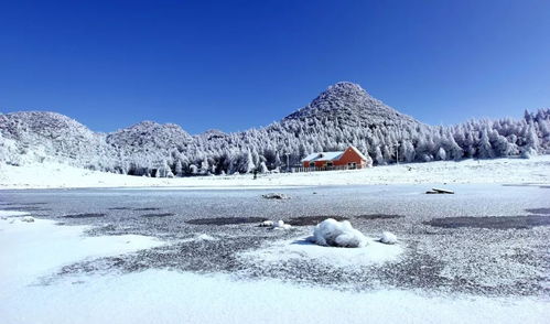 關于重慶冬季的詩句