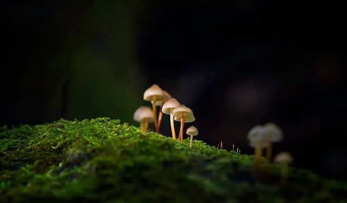 關(guān)于勤勉類(lèi)的詩(shī)句