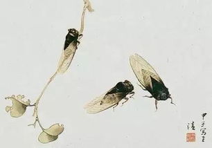 蟬古詩(shī)的意思和詩(shī)句,寫(xiě)到蟬的古詩(shī)還有什么詩(shī)句是什么,蟬的詩(shī)句古詩(shī)