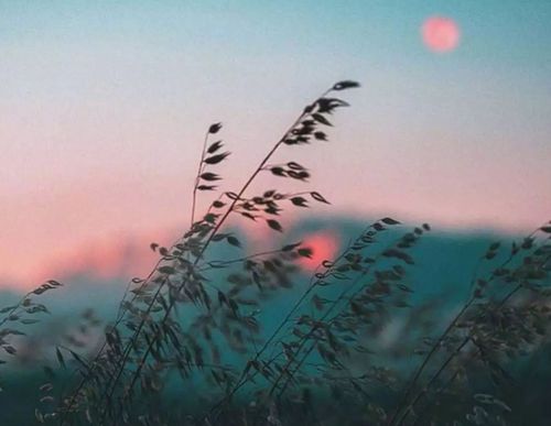 關(guān)于相逢的唯美詩(shī)句