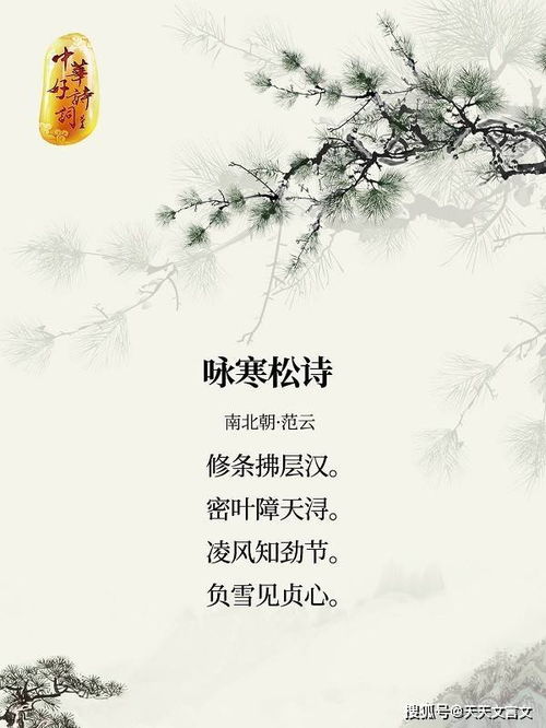長(zhǎng)壽,松樹,詩(shī)句,代表
