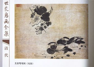 關(guān)于花鳥的古詩句簡單,關(guān)于花鳥的古詩句全文,關(guān)于山水花鳥的古詩句