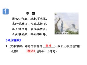 中考語文必考古詩句