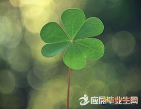 十字以內(nèi)古詩句