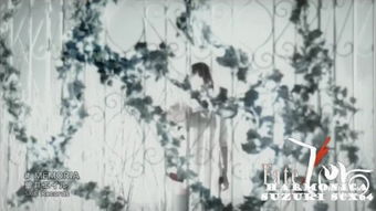 關(guān)于口琴的詩(shī)句