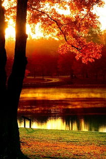 諺語,詩句,秋天