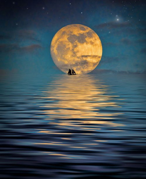 關(guān)于月亮思鄉(xiāng)的詩句古詩大全