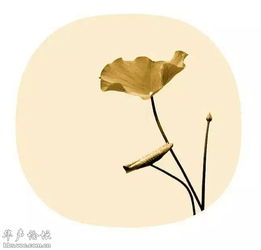 表達愛情遺憾的古詩句