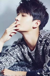 關于楊洋的唯美詩句
