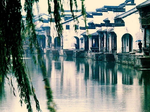 描寫江南水鄉(xiāng)的古詩句,搜集描寫江南水鄉(xiāng)的古詩句,贊美江南水鄉(xiāng)的古詩