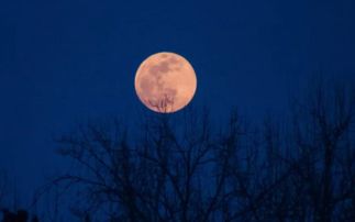 現(xiàn)代關(guān)于月亮的詩句大全