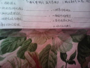 關(guān)于下決心的古詩(shī)句