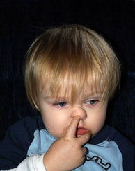 關(guān)于鼻孔的詩(shī)句