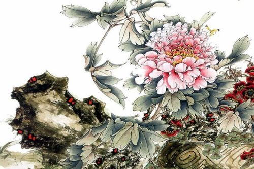 關(guān)于蓮菊的詩句古詩詞