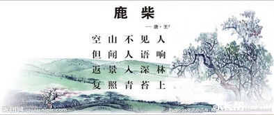 鹿柴古詩詩句意思,四年級古詩鹿柴詩句的意思,鹿柴詩句的意思解釋