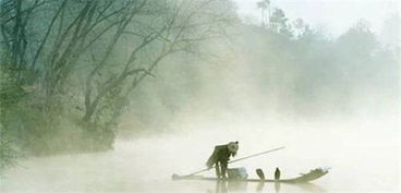 詩(shī)句,窗下,讀書(shū)