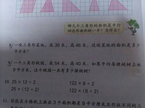 關(guān)于夏天的詩句自創(chuàng)句,描寫夏天的詩句古詩句,夏天的詩句有多少句