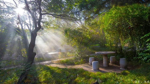 描寫陰雨的詩句古詩