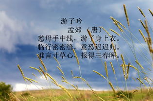 慈母,詩(shī)句,情深