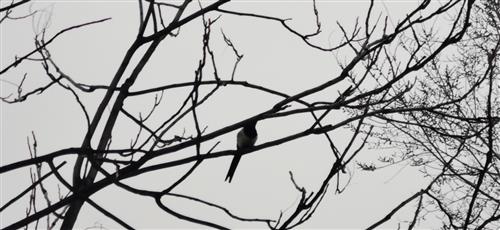 不放棄希望的古詩句