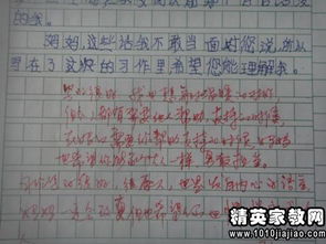 評語,詩句,小學(xué)生,引用