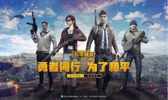 關(guān)于和平精英的詩句