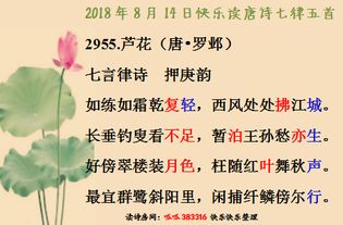 關(guān)于月的詩(shī)句古詩(shī)歡樂(lè)