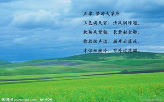 大草原詩(shī)句古詩(shī)詞