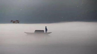 久別重逢,詩句,師生