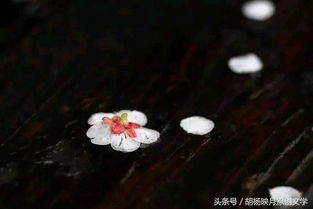 關(guān)于痛的詩(shī)句等