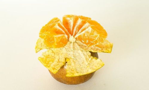 關于橘皮的詩句