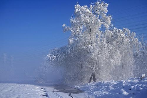 有關(guān)冬天的詩句古詩大全