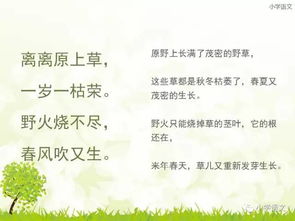 詩句,學(xué)過,于梅