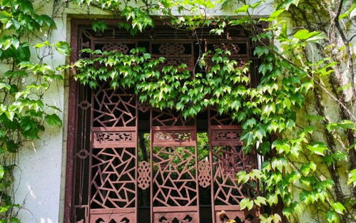 關(guān)于留園的詩句意思