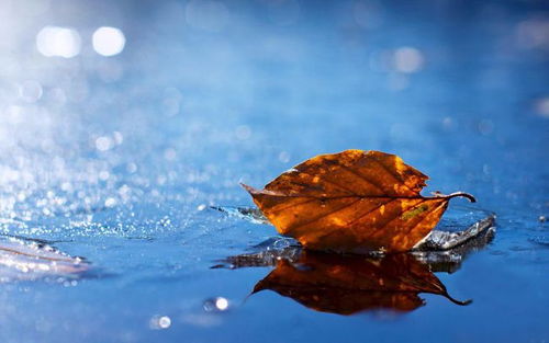 關(guān)于陰天的詩句古詩