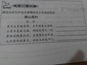 關(guān)于信息的詩句有哪些