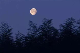 關(guān)于月亮情感的詩(shī)句