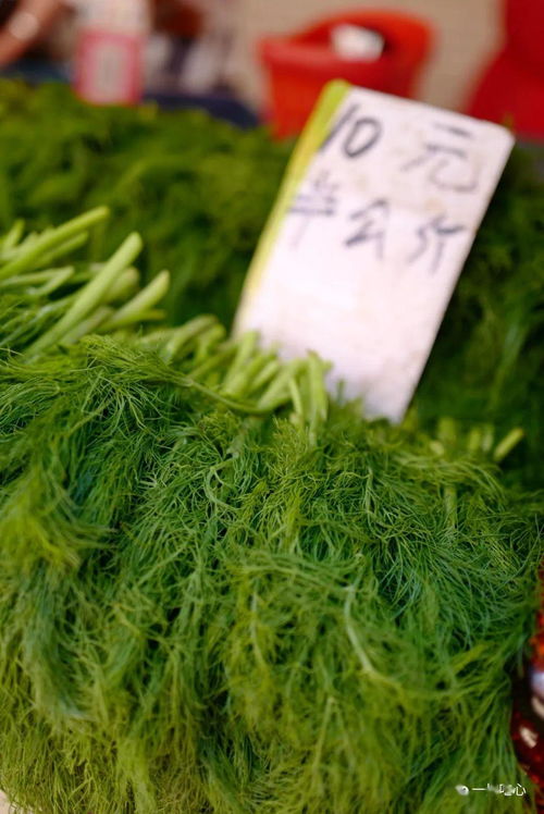 歌頌大自然的古詩句