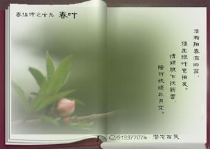 關(guān)于春葉的詩句