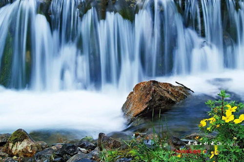 詩句,景色,旅游